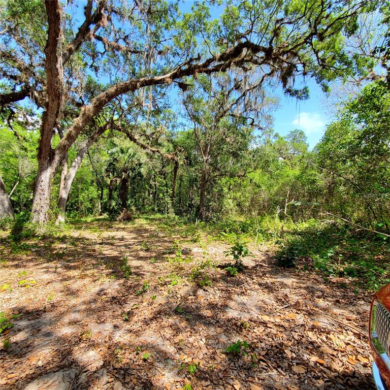 Tbd Double Run Rd, Astatula, FL 34705 MLS G5067359 Coldwell Banker