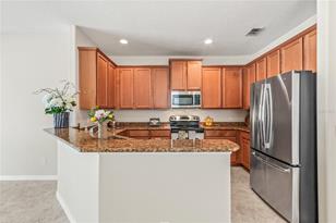 3627 Caladesi Rd - Photo 9