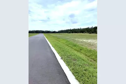 5542 Panoramic View Drive, Apopka, FL 32712 - Photo 11