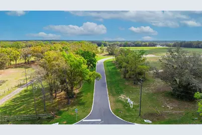 5548 Panoramic View Drive, Apopka, FL 32712 - Photo 5