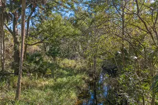 13524 Corkwood Ln, Astatula, FL 34705 - Photo 5