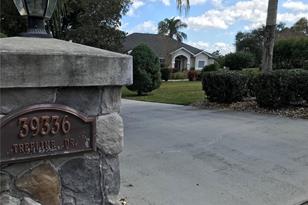 39336 Treeline Dr - Photo 7