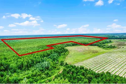 S Boggy Marsh Road, Clermont, FL 34711 - Photo 1