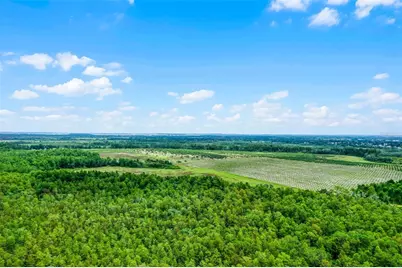 S Boggy Marsh Road, Clermont, FL 34711 - Photo 5