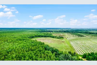 S Boggy Marsh Road, Clermont, FL 34711 - Photo 21
