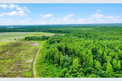 S Boggy Marsh Road, Clermont, FL 34711 - Photo 17