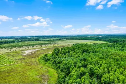 S Boggy Marsh Road, Clermont, FL 34711 - Photo 15