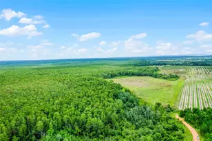 S Boggy Marsh Rd, Clermont, FL 34711 - Photo 1