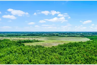 S Boggy Marsh Road, Clermont, FL 34711 - Photo 11