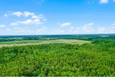 S Boggy Marsh Road, Clermont, FL 34711 - Photo 13