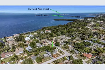 1004 Greenleaf Way, Tarpon Springs, FL 34689 - Photo 3