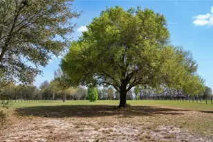 23321 N Buckhill Rd, Howey in the Hills, FL 34737 - Photo 23