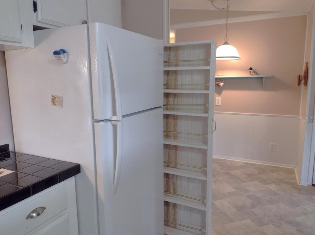 16674 102 Ave Rd, Summerfield FL  34491-8613 exterior