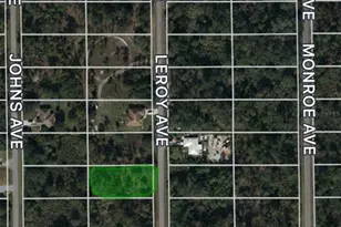 1007 Leroy Ave, Lehigh Acres, FL 33972 - Photo 3