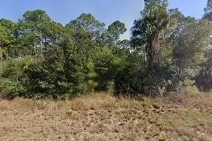 717 Brooklyn Loop, Labelle, FL 33935 - Photo 1