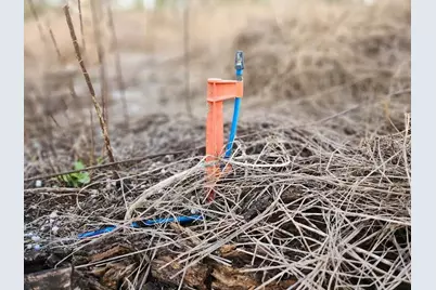 W Frostproof Road #Lot 10, Frostproof, FL 33843 - Photo 33