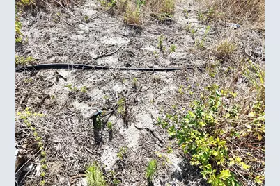 W Frostproof Road #Lot 10, Frostproof, FL 33843 - Photo 9