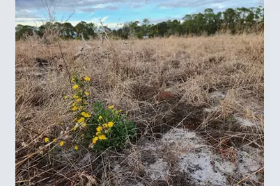 W Frostproof Road #Lot 10, Frostproof, FL 33843 - Photo 35