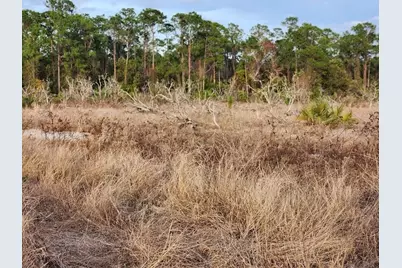 W Frostproof Road #Lot 10, Frostproof, FL 33843 - Photo 15