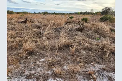 W Frostproof Road #Lot 10, Frostproof, FL 33843 - Photo 19