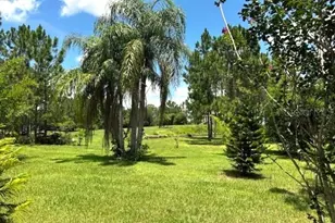 13910 Max Hooks Rd, Clermont, FL 34711 - Photo 75