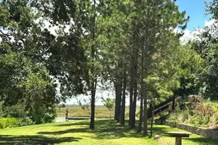 13910 Max Hooks Rd, Clermont, FL 34711 - Photo 89