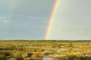 13910 Max Hooks Rd, Clermont, FL 34711 - Photo 69