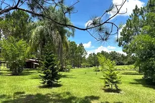 13910 Max Hooks Rd, Clermont, FL 34711 - Photo 77