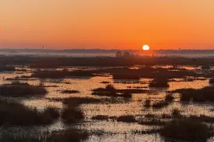 13910 Max Hooks Rd, Clermont, FL 34711 - Photo 67