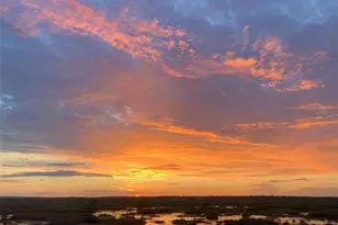 13910 Max Hooks Rd, Clermont, FL 34711 - Photo 11