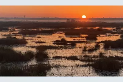 13910 Max Hooks Road, Clermont, FL 34711 - Photo 63