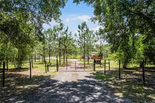 13910 Max Hooks Rd, Clermont, FL 34711 - Photo 43