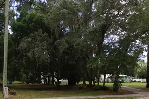 404 W Welch Rd, Apopka, FL 32712 - Photo 5