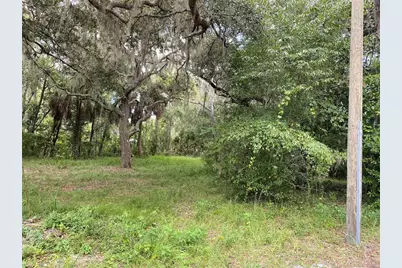 Cr 448C, Lake Panasoffkee, FL 33538 - Photo 1