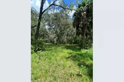 Cr 448C, Lake Panasoffkee, FL 33538 - Photo 7