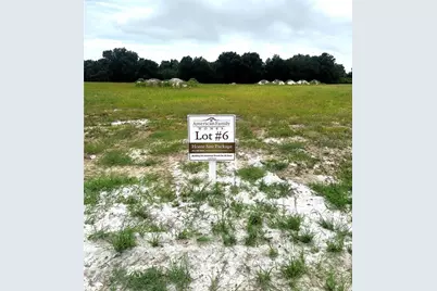 38797 Ranch Gate Boulevard, Umatilla, FL 32784 - Photo 1
