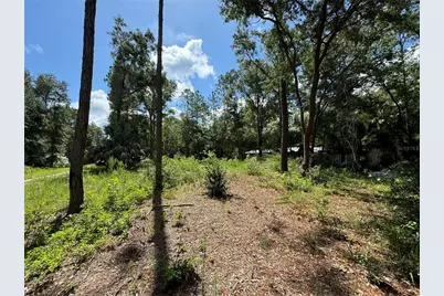 Nw 58th Place, Chiefland, FL 32626 - Photo 7