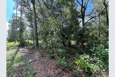 Nw 58th Place, Chiefland, FL 32626 - Photo 9