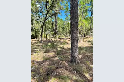 Tbd SW 156th Court, Ocala, FL 34481 - Photo 1