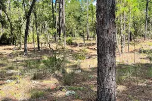 Tbd SW 156th Ct, Ocala, FL 34481 - Photo 1