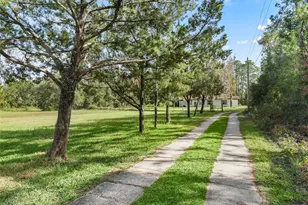 1151 Emma Ln, Leesburg, FL 34748 - Photo 27