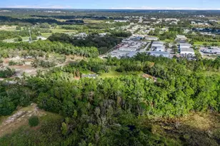 1151 Emma Ln, Leesburg, FL 34748 - Photo 39