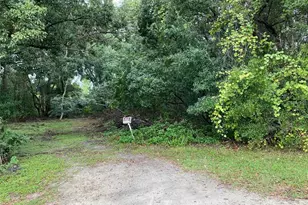 N Wardell St, Mount Dora, FL 32757 - Photo 1