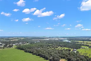 11001 Moon Crest Ln, Leesburg, FL 34788 - Photo 17