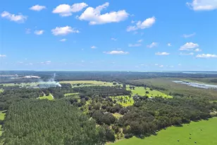 11001 Moon Crest Ln, Leesburg, FL 34788 - Photo 15