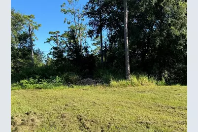 638 Jaguar Court, Kissimmee, FL 34759 - Photo 3