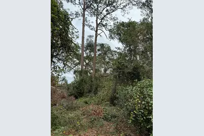 15518 State Road 19, Groveland, FL 34736 - Photo 21