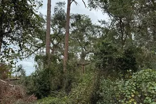 15518 State Road 19, Groveland, FL 34736 - Photo 21