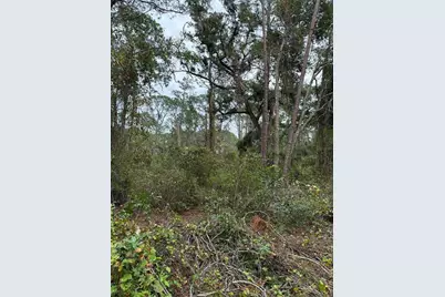 15518 State Road 19, Groveland, FL 34736 - Photo 23