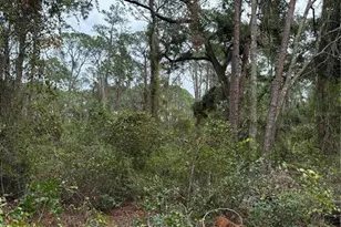 15518 State Road 19, Groveland, FL 34736 - Photo 23